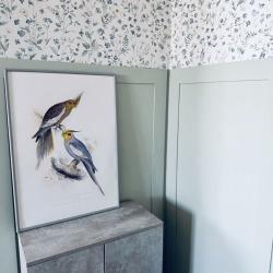 Апартаменты студия