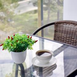 Апартаменты студия 3