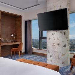 фото 21 Radisson Blu Olimpiyskiy (Рэдиссон Блу Олимпийский)