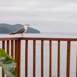 Фото Отель Море - Песок