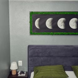 1-комнатные апартаменты стандарт #3