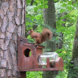 Фото Отель Фламинго