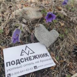 Фото Отель Подснежник
