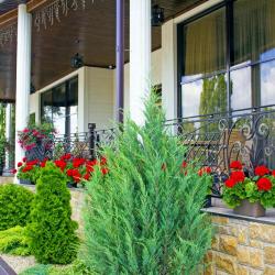 Фото Отель Аустерия