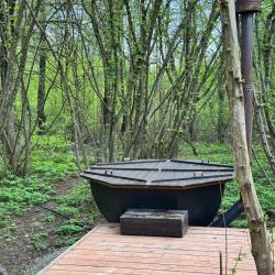 Forest-house 21