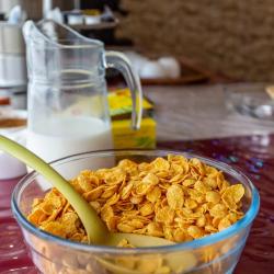 Фото Отель Сказка снежных вершин