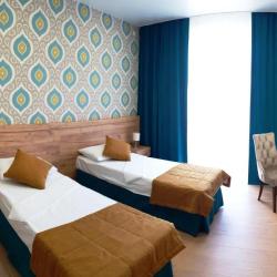 Двухместный номер с 1 двуспальной кроватью и балконом