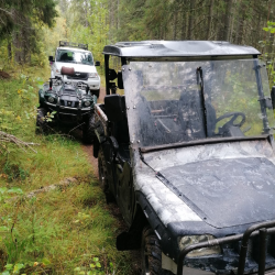 Фото Отель Гостевой комплекс Сосны