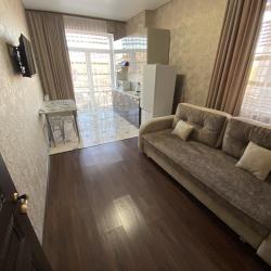 1-комнатные апартаменты стандарт №2