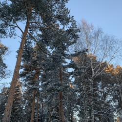 Коттедж стандарт