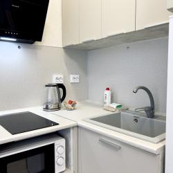 2-комнатные апартаменты стандарт в центре Тюмени с живописным прудом