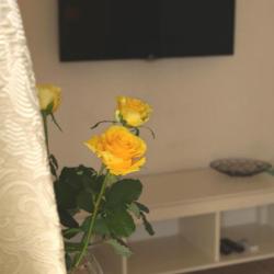 Фото Отель Гомер