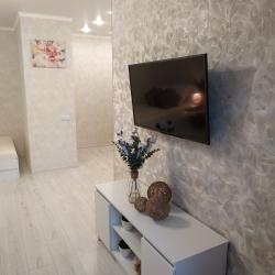 Фото Апартаменты на ленинском проспекте 97