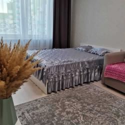 Фото Апартаменты на Лысогорской 89/2