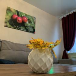 Фото Апартаменты Брусника на улице Красноармейская