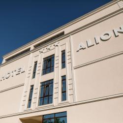 фото 1 Alion (Алион)