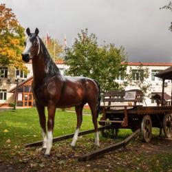 Фото Отель Богородская
