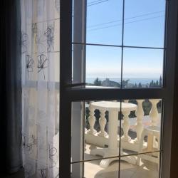 1-комнатные апартаменты с балконом и кухней