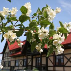 Фото Отель Пихтовое