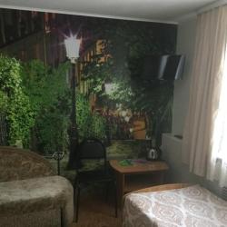 Фото Отель Шатковская
