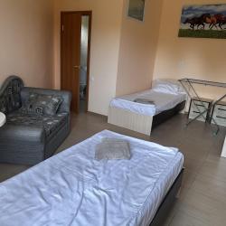 Фото Отель Лев