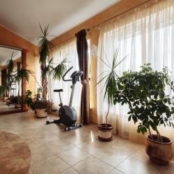 Номер люкс улучшенный