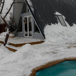 Дом у сосны