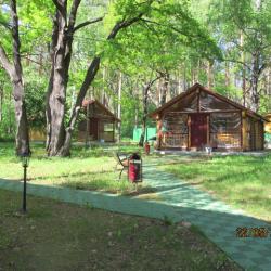 Дом Стандарт