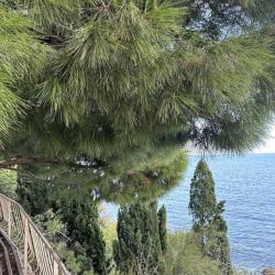 Фото Отель Белый лебедь