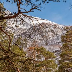 2-комнатные апартаменты люкс с. Терскол, ул. Иткол, 9Е