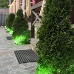 Фото Отель Белуга