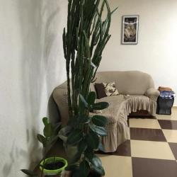 Фото Отель Империал