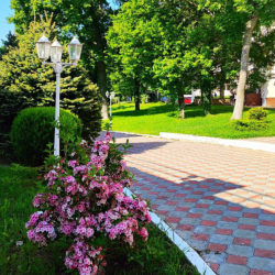 Фото Отель Пансионат Звёздный