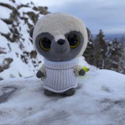 Фото Отель Загородный комплекс Аракуль