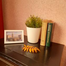 1-комнатные апартаменты стандарт