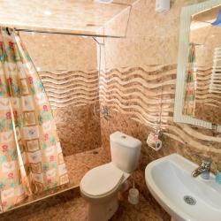 Фото Отель Gayane (Гаяне)