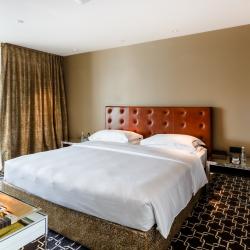 Ararat Park Hotel Moscow (Арарат Парк Хаятт Москва) — d0d29d021a82fd015795f9eb7394c920