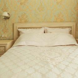 Фото Апартаменты на улице Большая Московская 38