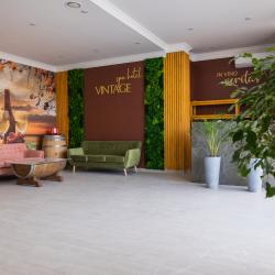 Фото SPA Hotel Vintage (СПА отель Винтаж)