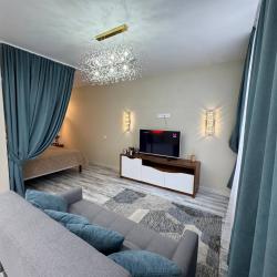 1-комнатные апартаменты студия