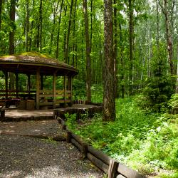 Фото Мечта Парк-отель
