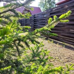 Фото Отель Бревенчатый дом Абзаково