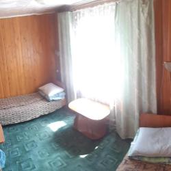 Фото Отель Ёлочка