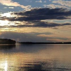 Фото Отель Black Fox (Блэк Фокс)