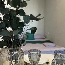 1-комнатные апартаменты студия