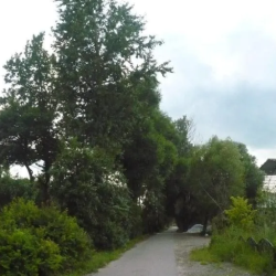 Фото Отель Гостевой дом Домодедово