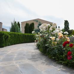 Фото Отель Plaza Viktoria (Плаза Виктория)