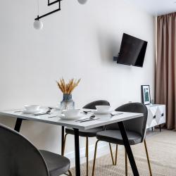 Фото Отель Стильная квартира с качелями в ЖК Самолет