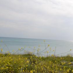 Фото Отель Аммонит