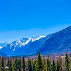 Фото Отель Belukha Village (Белуха Вилладж)